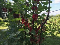 IMG_1943