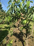 IMG_1977