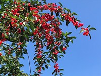 IMG_1984