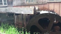 Watermolen net voor Titisee-Neustadt (16 juni)