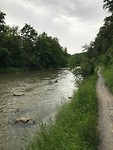 IMG_2464