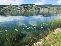 IMG_2477