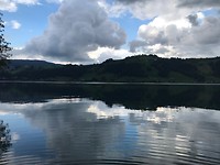 IMG_2478