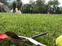 IMG_2489