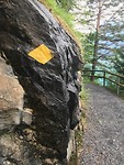 IMG_2532