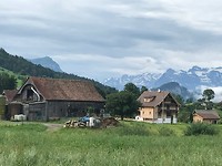 IMG_2503
