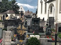 IMG_2570