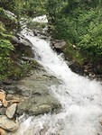 IMG_2591
