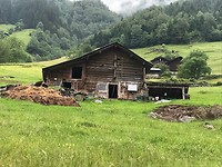 IMG_2605