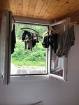 IMG_2633