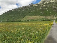 IMG_2709