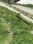 IMG_2810