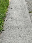 IMG_2859