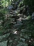 IMG_2871