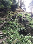 IMG_2937