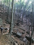 IMG_3082