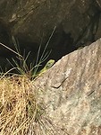 IMG_3135