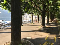 IMG_3246