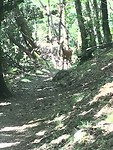 IMG_3250