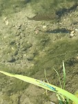 IMG_3346
