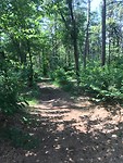 IMG_3292