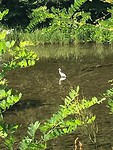 IMG_3412