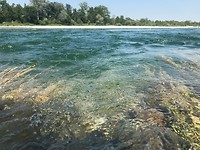 IMG_3496