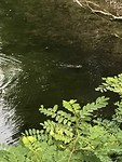 IMG_3514