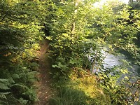 IMG_3538