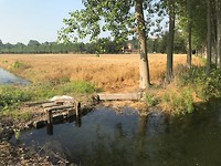 IMG_3648