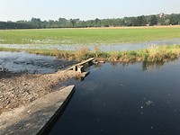 IMG_3649