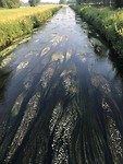 IMG_3650