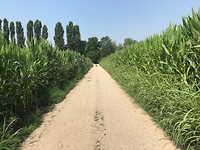 IMG_3660