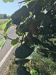 IMG_3708