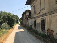 IMG_3781