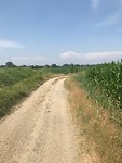 IMG_3786