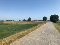 IMG_3787