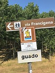 IMG_3789