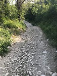 IMG_3979