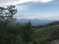 IMG_3983
