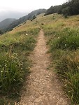 IMG_4045
