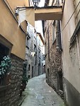 IMG_4104