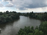 IMG_4433