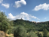 IMG_4437