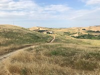 IMG_4476