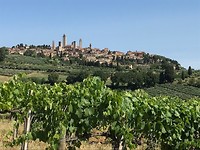 IMG_4596