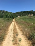 IMG_4603