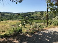 IMG_4599
