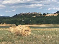 IMG_4615