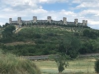 IMG_4617